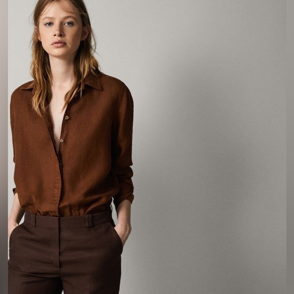 Massimo Dutti Brown Blouse